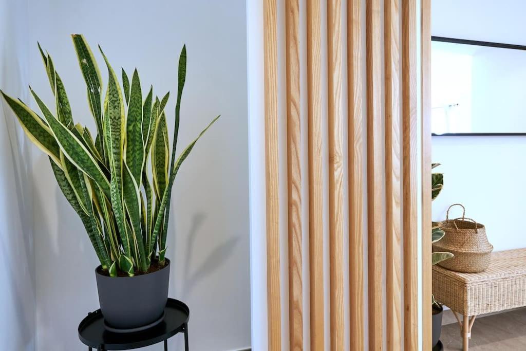 Apartament Blue Horizon Lagos Zewnętrze zdjęcie